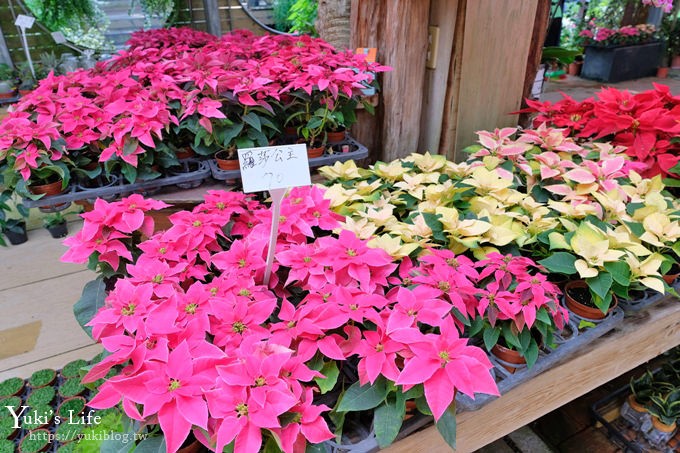 苗栗花露農場》四季都美親子景點、夢幻水池用餐、城堡精油館~超推親子之旅！ - yuki.tw