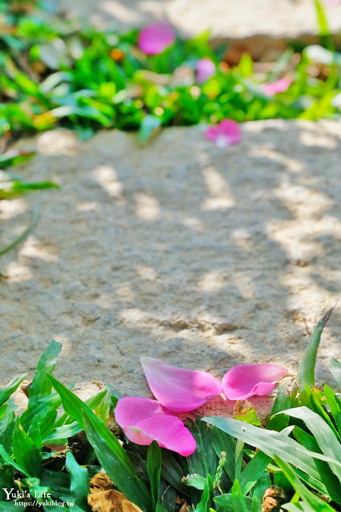 苗栗免費景點【雅聞香草植物工廠】夢幻玫瑰花園×沙坑、冰淇淋親子下午茶好去處！ - yuki.tw