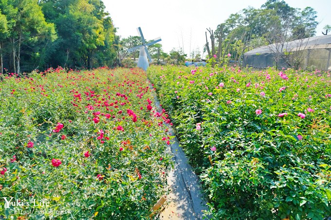 苗栗免費景點【雅聞香草植物工廠】夢幻玫瑰花園×沙坑、冰淇淋親子下午茶好去處！ - yuki.tw