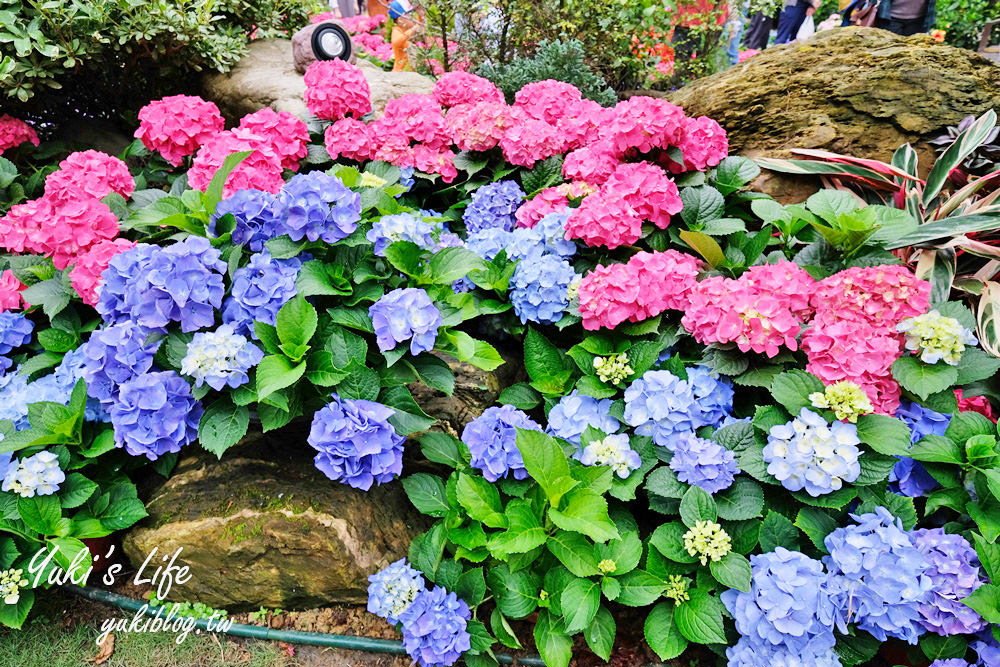 苗栗花露農場》四季都美親子景點、夢幻水池用餐、城堡精油館~超推親子之旅！ - yuki.tw