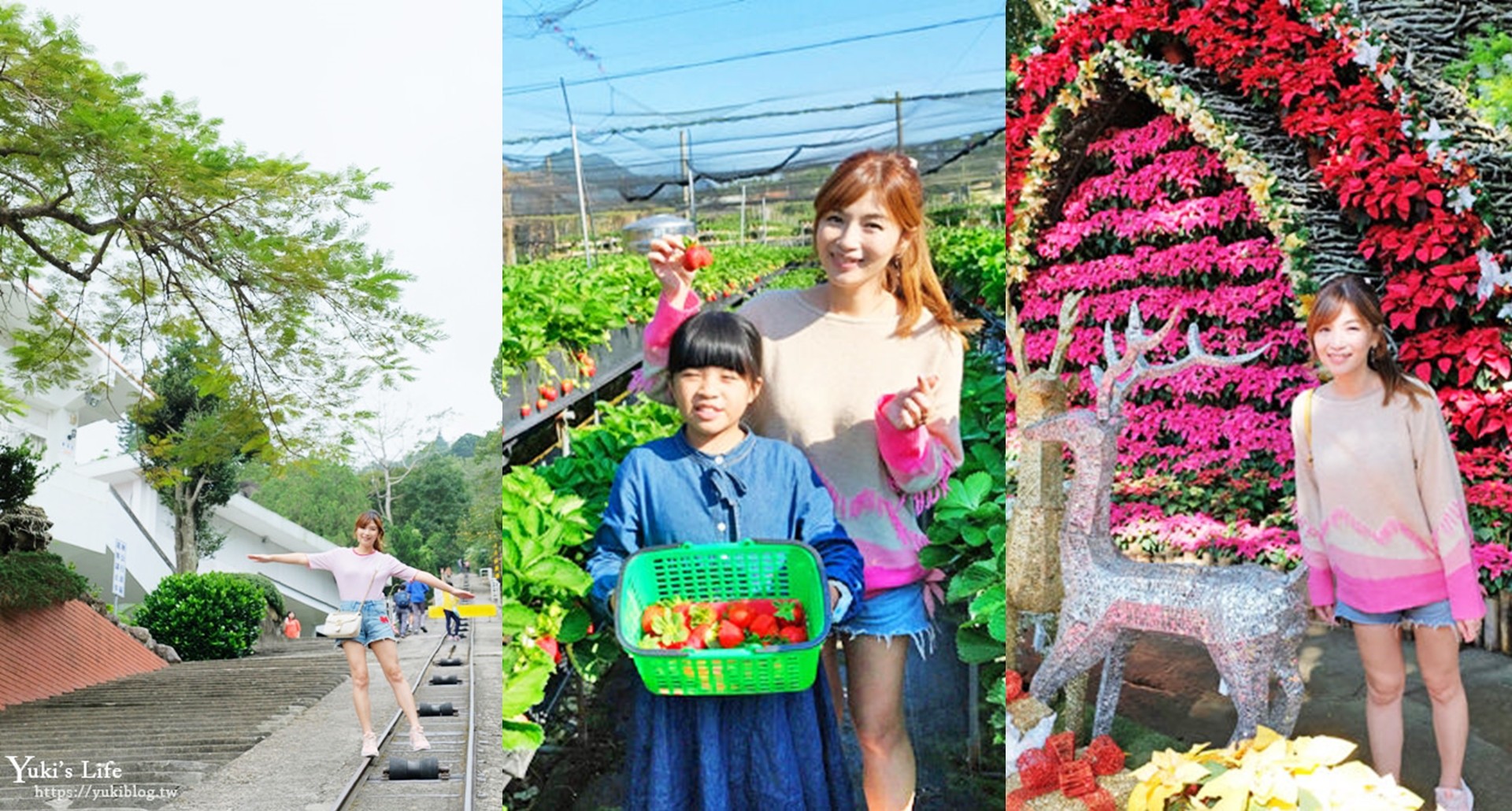 苗栗大湖採草莓一日遊懶人包》彈珠汽水觀光工廠×小動物×客家菜×住宿推薦~豐富親子之旅