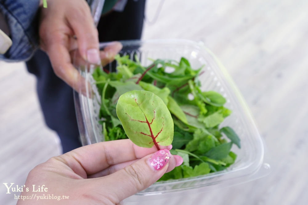 桃園親子景點【源鮮智慧農場】吃益生菌長大的生菜觀光工廠×超大份量早午餐！ - yuki.tw