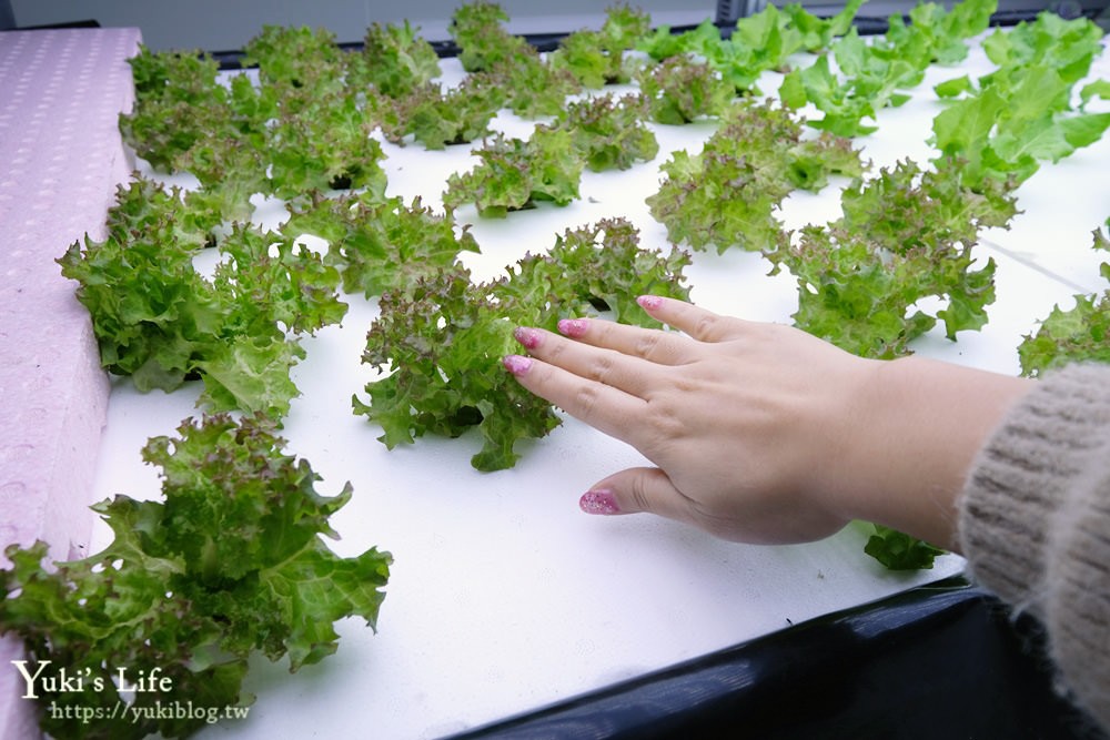 桃園親子景點【源鮮智慧農場】吃益生菌長大的生菜觀光工廠×超大份量早午餐！ - yuki.tw