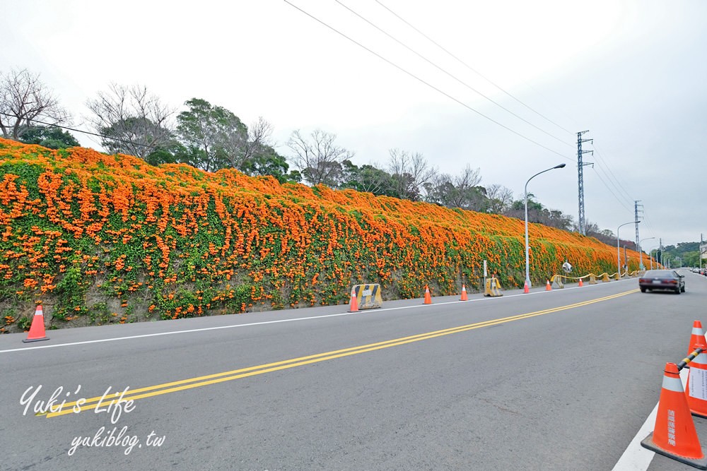 苗栗免費景點【銅鑼炮仗花海公園】粉橘雙色花牆接力到三月！ - yuki.tw