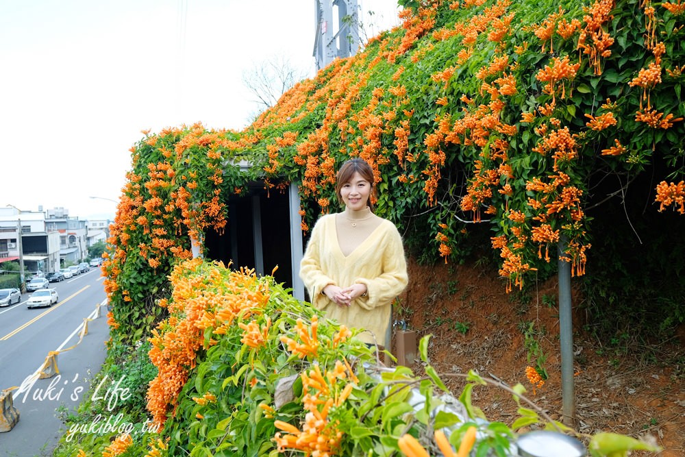 苗栗免費景點【銅鑼炮仗花海公園】粉橘雙色花牆接力到三月！ - yuki.tw