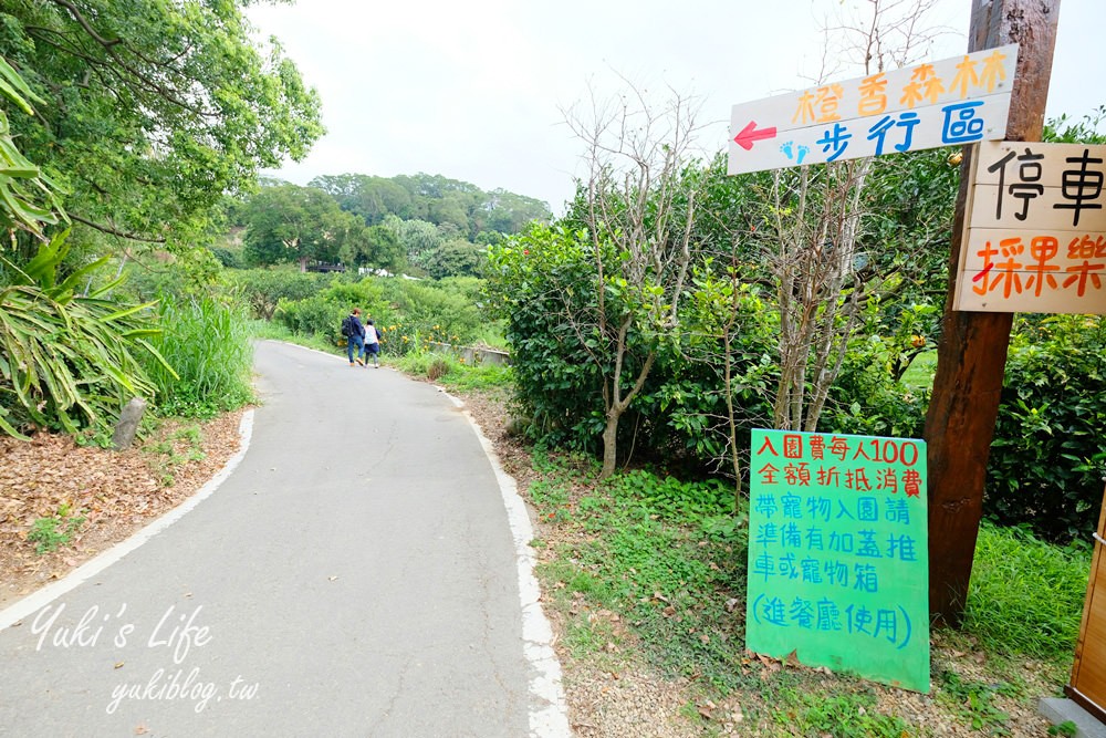 苗栗親子景點【橙香森林】餵兔子大草皮玻璃景觀餐廳×採果森林樂園×美拍約會好去處！ - yuki.tw