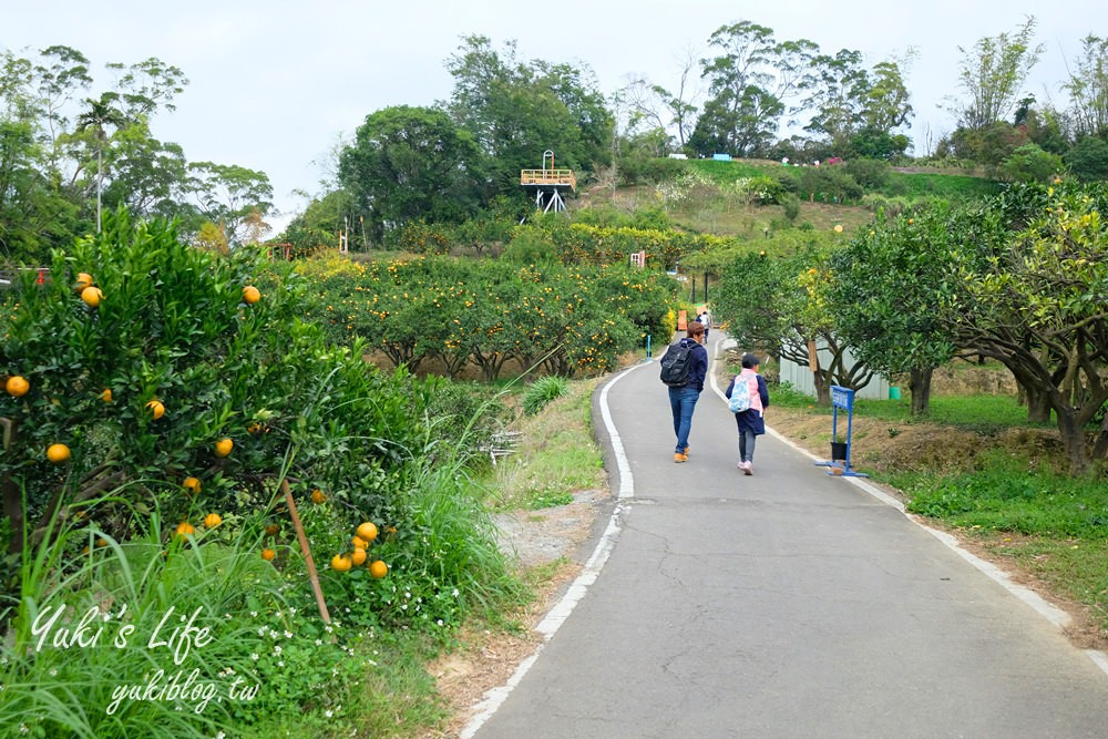 苗栗親子景點【橙香森林】餵兔子大草皮玻璃景觀餐廳×採果森林樂園×美拍約會好去處！ - yuki.tw