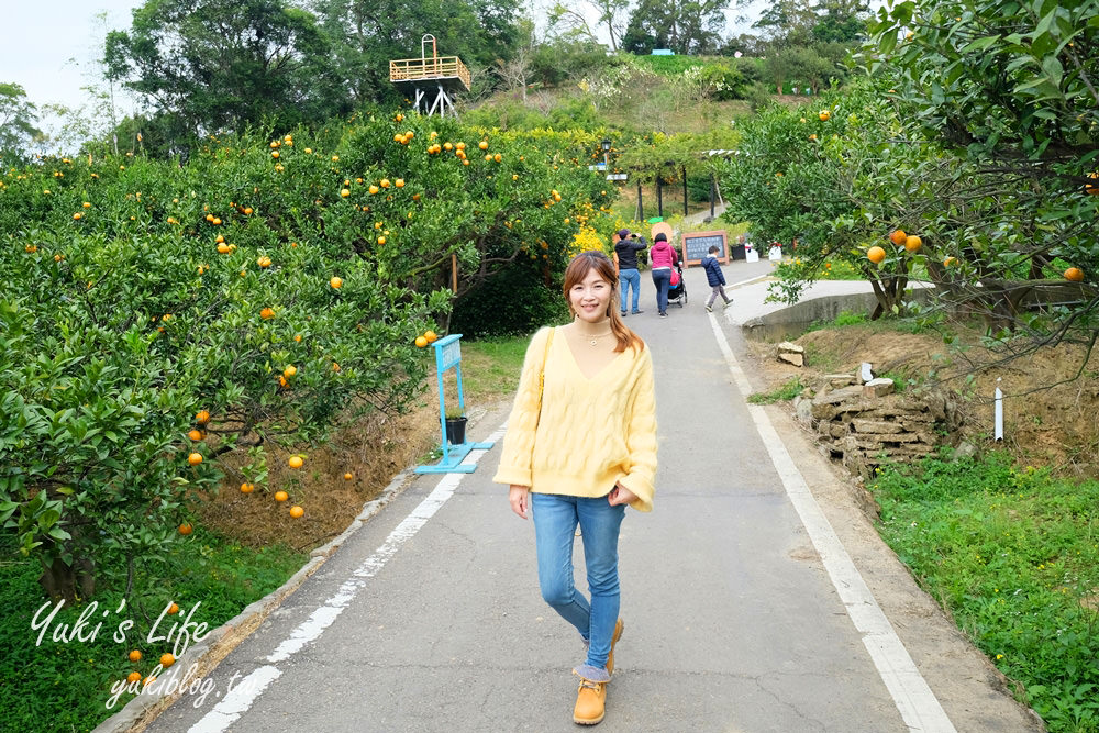 苗栗親子景點【橙香森林】餵兔子大草皮玻璃景觀餐廳×採果森林樂園×美拍約會好去處！ - yuki.tw