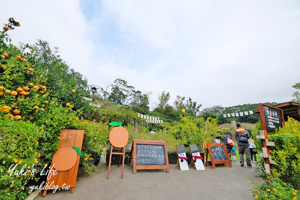 苗栗親子景點【橙香森林】餵兔子大草皮玻璃景觀餐廳×採果森林樂園×美拍約會好去處！ - yuki.tw