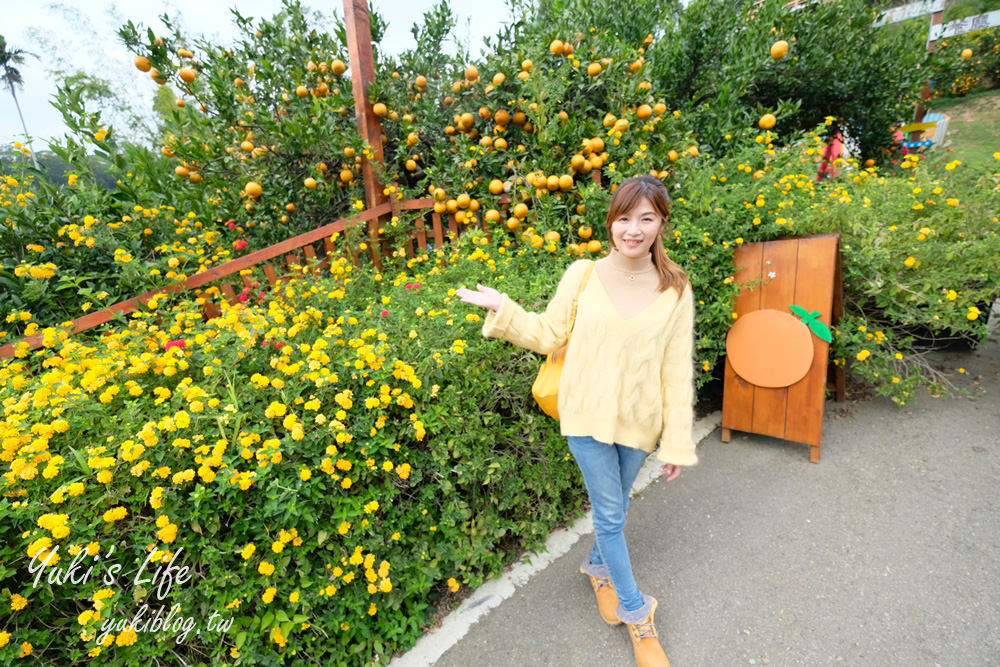 苗栗親子景點【橙香森林】餵兔子大草皮玻璃景觀餐廳×採果森林樂園×美拍約會好去處！ - yuki.tw