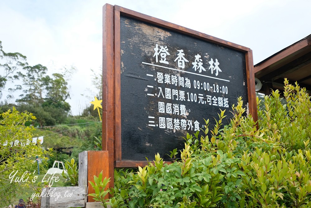 苗栗親子景點【橙香森林】餵兔子大草皮玻璃景觀餐廳×採果森林樂園×美拍約會好去處！ - yuki.tw