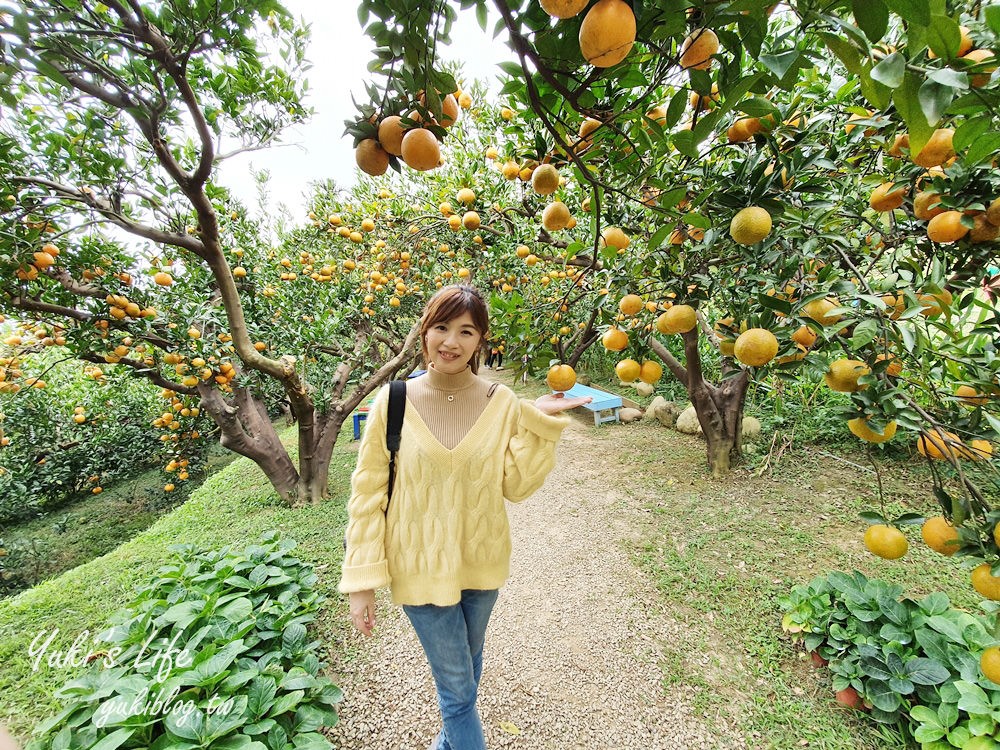 苗栗親子景點【橙香森林】餵兔子大草皮玻璃景觀餐廳×採果森林樂園×美拍約會好去處！ - yuki.tw