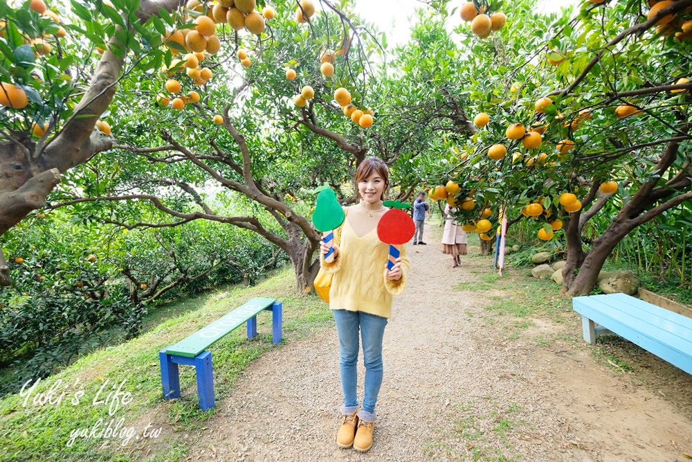 苗栗親子景點【橙香森林】餵兔子大草皮玻璃景觀餐廳×採果森林樂園×美拍約會好去處！ - yuki.tw