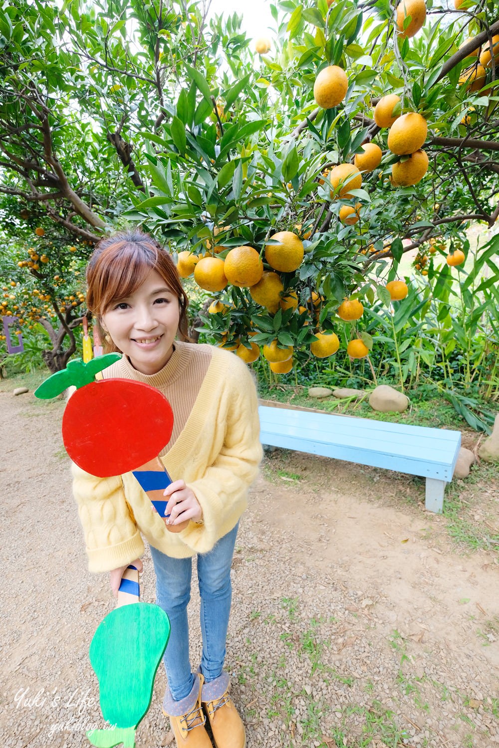 苗栗親子景點【橙香森林】餵兔子大草皮玻璃景觀餐廳×採果森林樂園×美拍約會好去處！ - yuki.tw