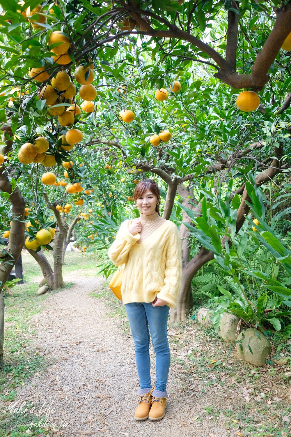 苗栗親子景點【橙香森林】餵兔子大草皮玻璃景觀餐廳×採果森林樂園×美拍約會好去處！ - yuki.tw