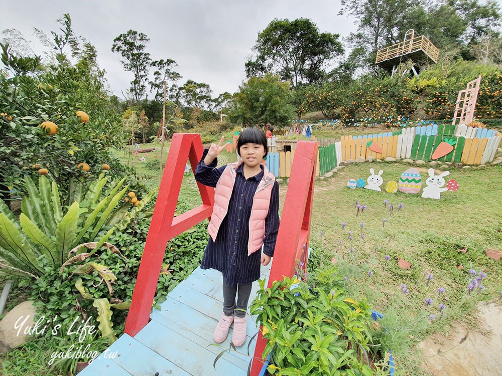 苗栗親子景點【橙香森林】餵兔子大草皮玻璃景觀餐廳×採果森林樂園×美拍約會好去處！ - yuki.tw