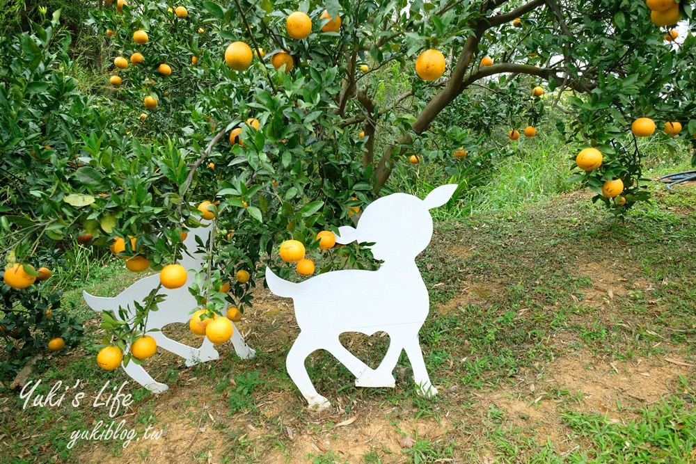 苗栗親子景點【橙香森林】餵兔子大草皮玻璃景觀餐廳×採果森林樂園×美拍約會好去處！ - yuki.tw