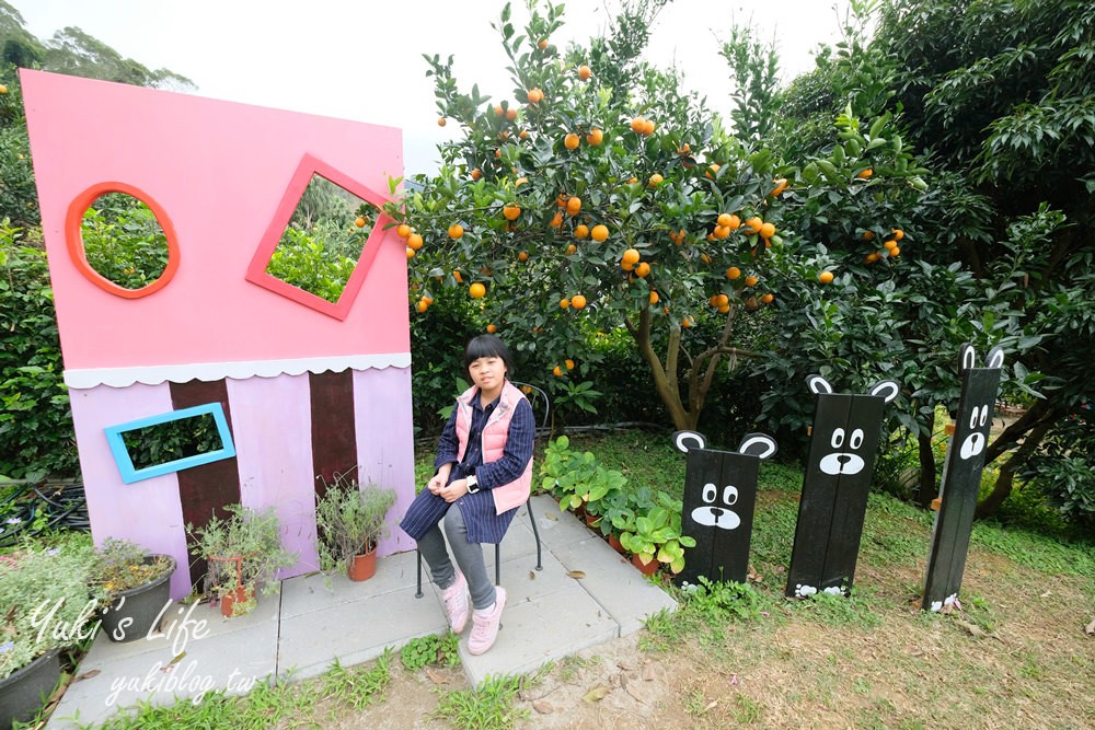 苗栗親子景點【橙香森林】餵兔子大草皮玻璃景觀餐廳×採果森林樂園×美拍約會好去處！ - yuki.tw