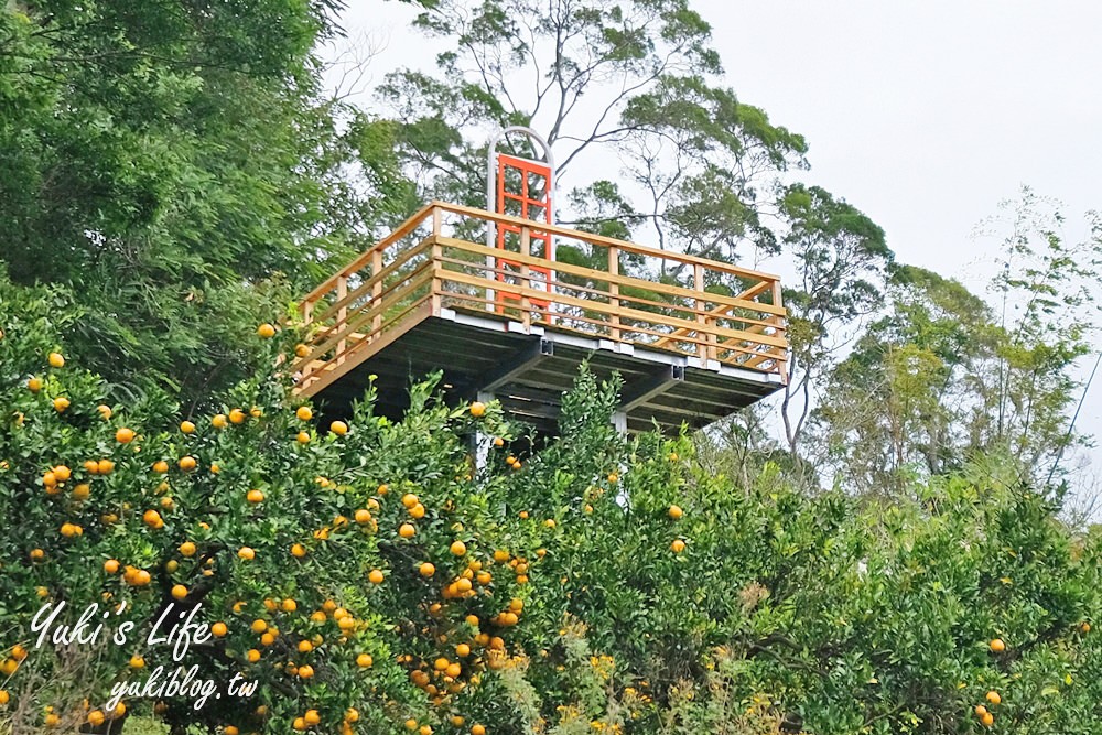 苗栗親子景點【橙香森林】餵兔子大草皮玻璃景觀餐廳×採果森林樂園×美拍約會好去處！ - yuki.tw