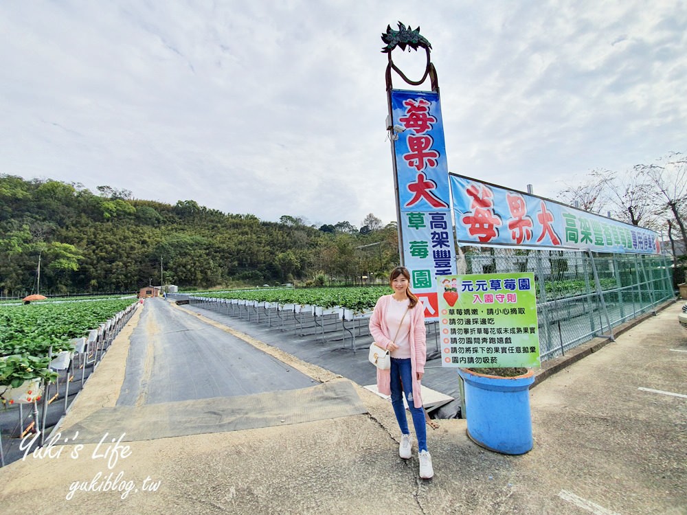 苗栗大湖採草莓推薦這幾家！高架草莓，草莓果醬DIY~香甜草莓在這裡！ - yuki.tw