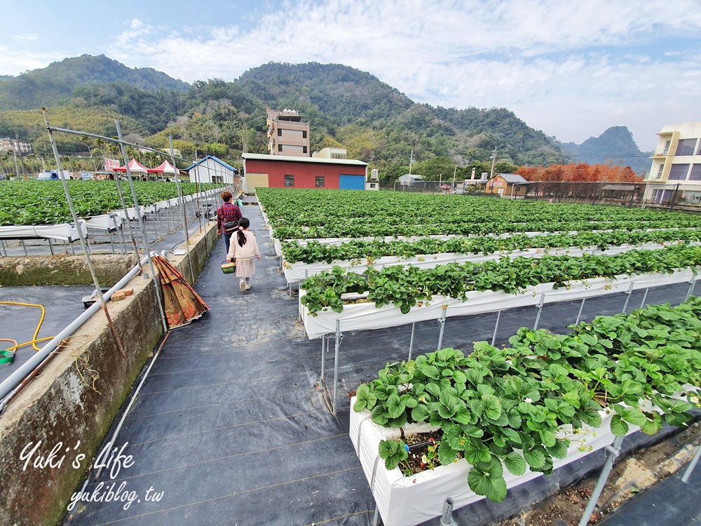 苗栗大湖採草莓推薦【莓果大高架草莓園】2023大湖草莓季推薦這間 - yuki.tw