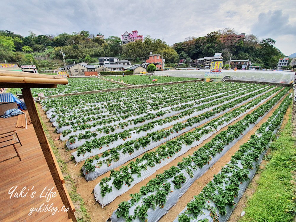 巨型草莓經典必訪『大湖酒莊』系列草莓限定美食×苗栗3路線懶人包玩透透 - yuki.tw