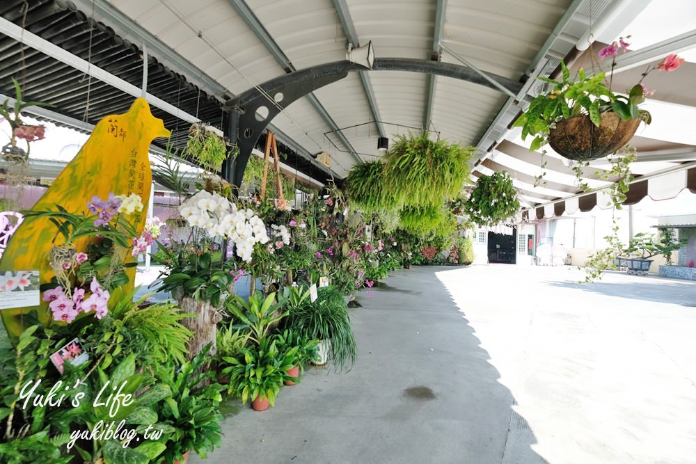 台南免費親子景點【蘭都觀光工廠】美拍落羽松秘境×沙坑大草皮超放電 - yuki.tw