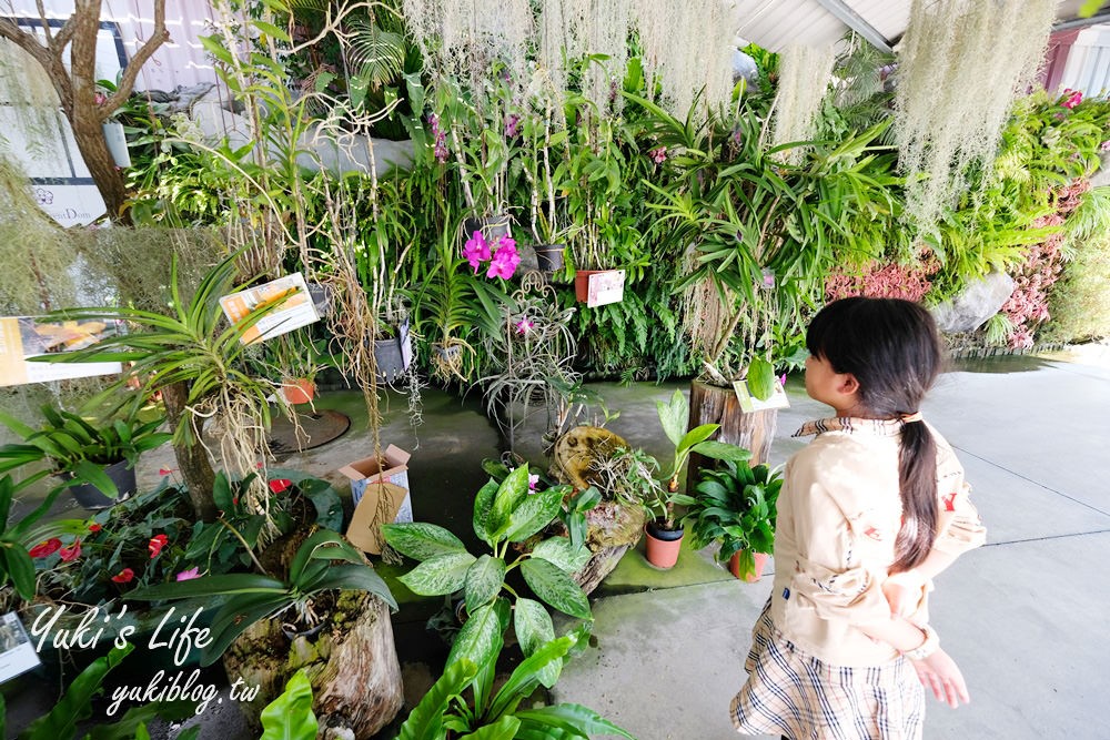 台南免費親子景點【蘭都觀光工廠】美拍落羽松秘境×沙坑大草皮超放電 - yuki.tw