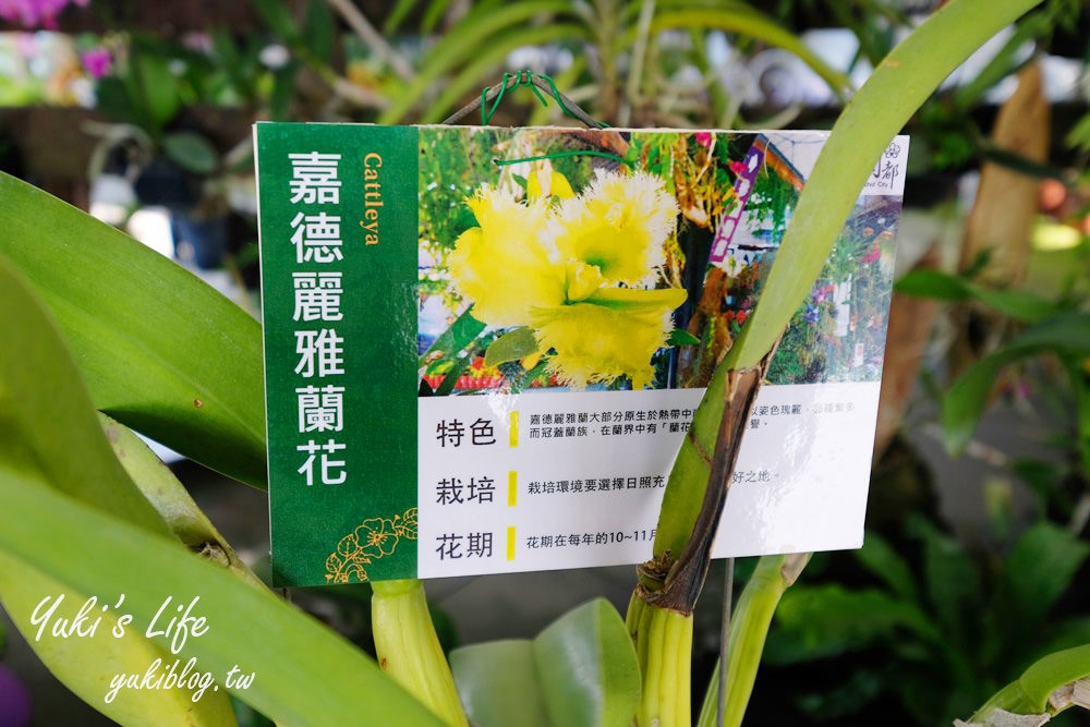 台南免費親子景點【蘭都觀光工廠】美拍落羽松秘境×沙坑大草皮超放電 - yuki.tw