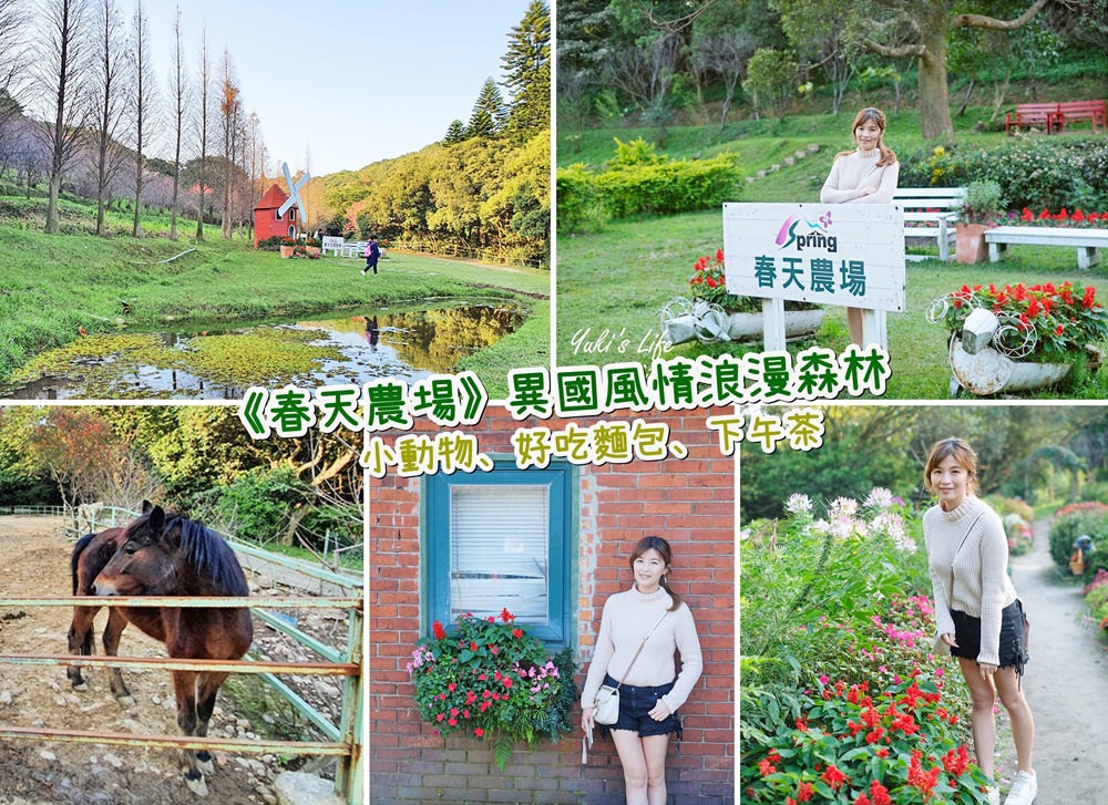 桃園親子景點【春天農場】異國風情浪漫森林~餵動物、落羽松、賞櫻花、烤肉、好吃麵包下午茶 - yuki.tw