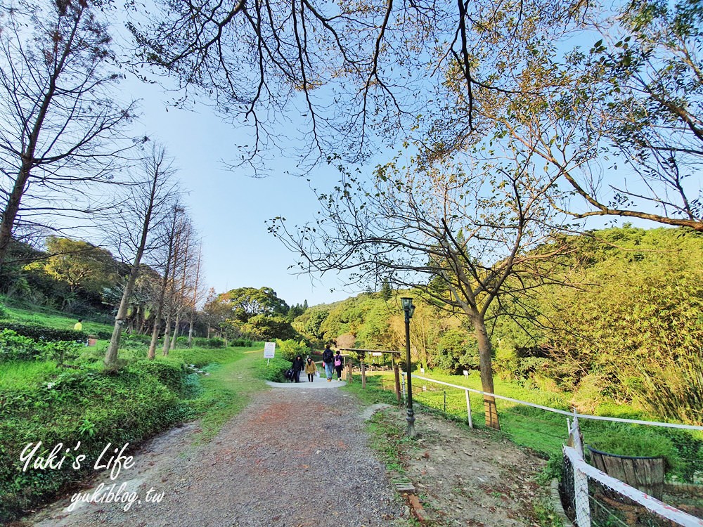 桃園親子景點【春天農場】異國風情浪漫森林~餵動物、落羽松、賞櫻花、烤肉、好吃麵包下午茶 - yuki.tw