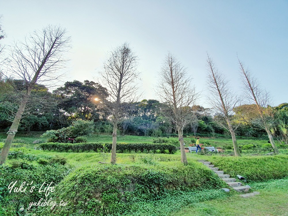 桃園親子景點【春天農場】異國風情浪漫森林~餵動物、落羽松、賞櫻花、烤肉、好吃麵包下午茶 - yuki.tw