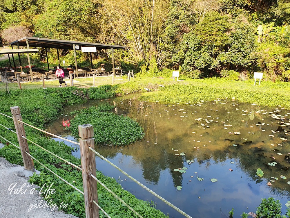 桃園親子景點【春天農場】異國風情浪漫森林~餵動物、落羽松、賞櫻花、烤肉、好吃麵包下午茶 - yuki.tw