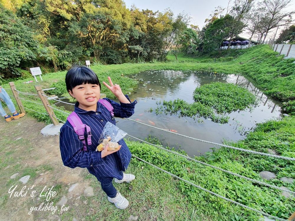 桃園親子景點【春天農場】異國風情浪漫森林~餵動物、落羽松、賞櫻花、烤肉、好吃麵包下午茶 - yuki.tw