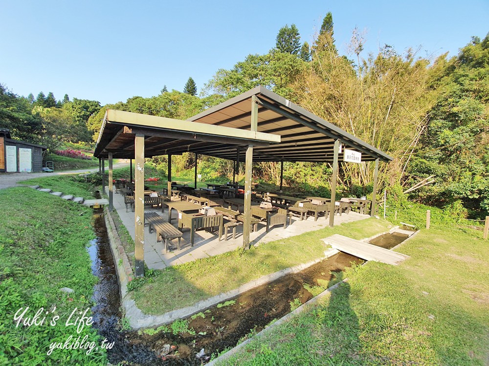 桃園親子景點【春天農場】異國風情浪漫森林~餵動物、落羽松、賞櫻花、烤肉、好吃麵包下午茶 - yuki.tw