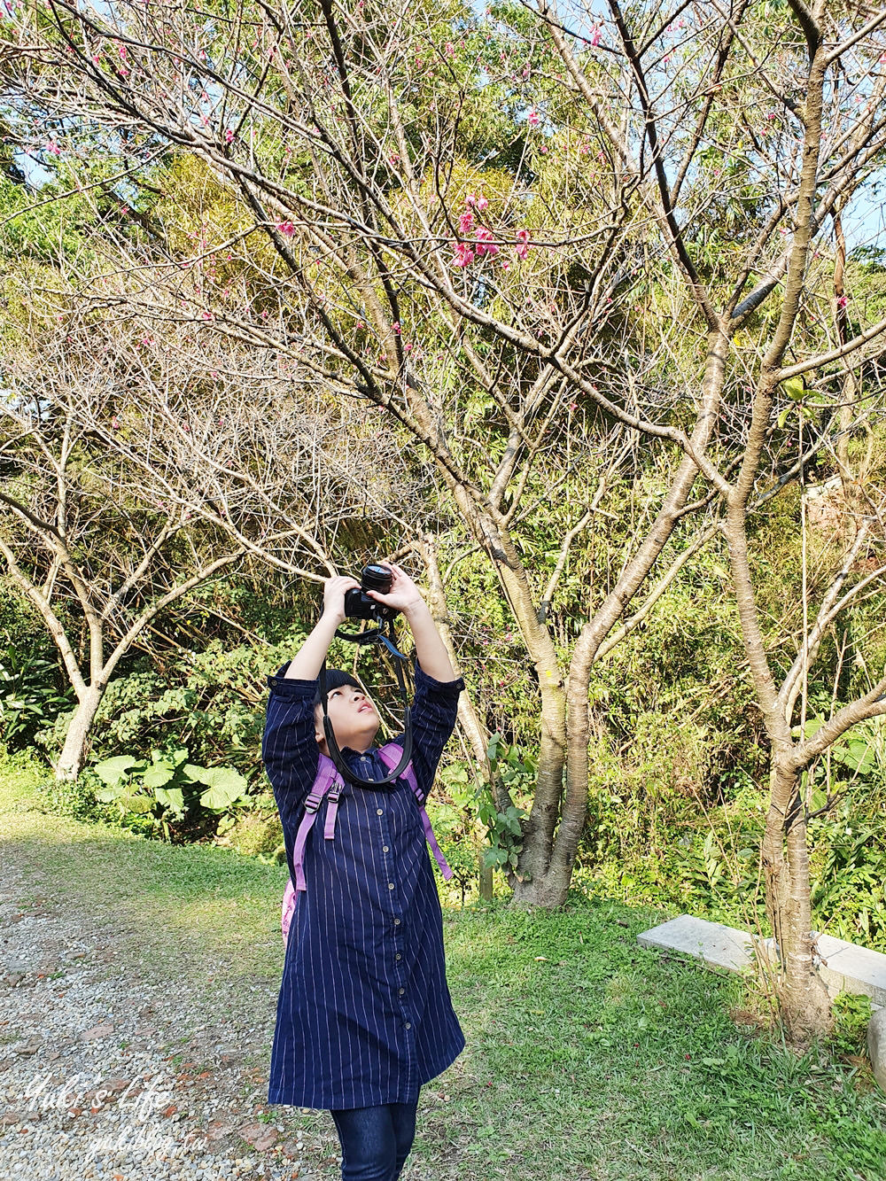 桃園親子景點【春天農場】異國風情浪漫森林~餵動物、落羽松、賞櫻花、烤肉、好吃麵包下午茶 - yuki.tw