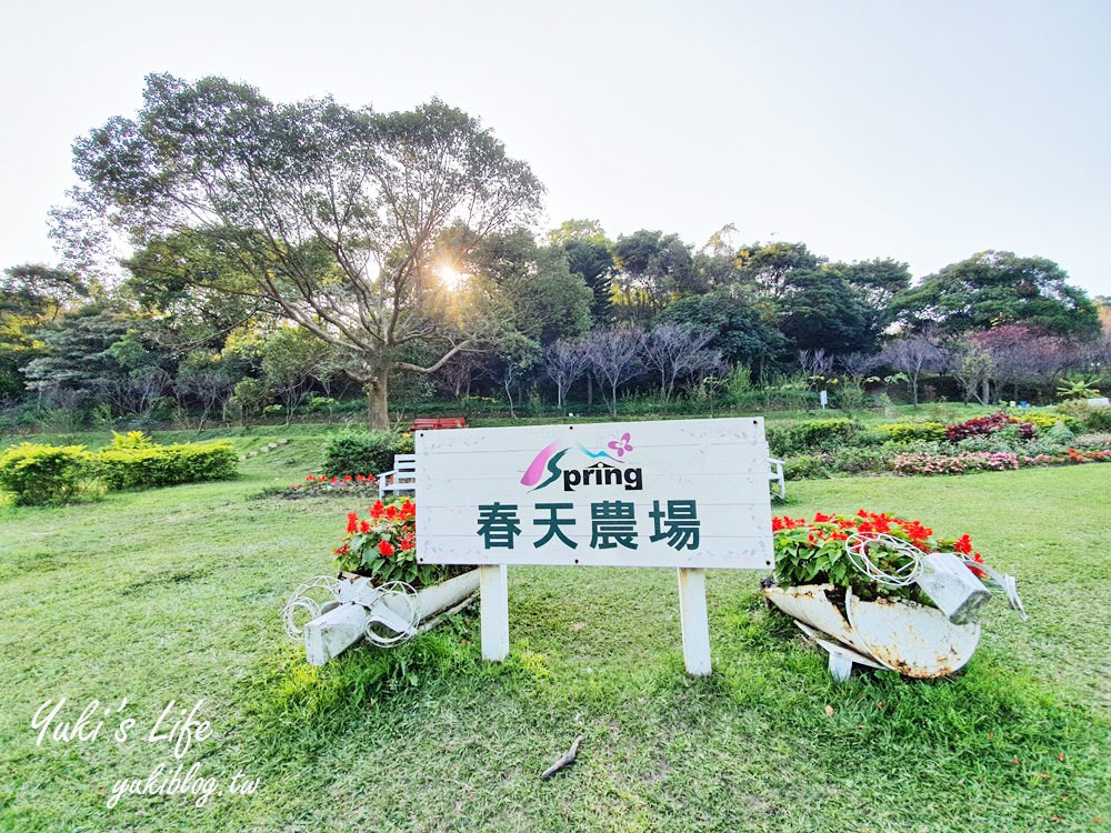 桃園親子景點【春天農場】異國風情浪漫森林~餵動物、落羽松、賞櫻花、烤肉、好吃麵包下午茶 - yuki.tw