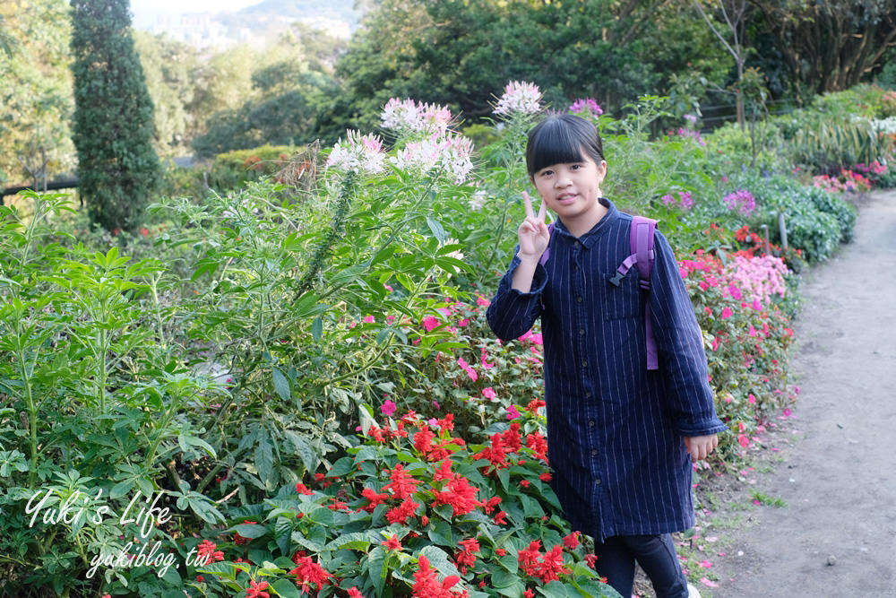 桃園親子景點【春天農場】異國風情浪漫森林~餵動物、落羽松、賞櫻花、烤肉、好吃麵包下午茶 - yuki.tw