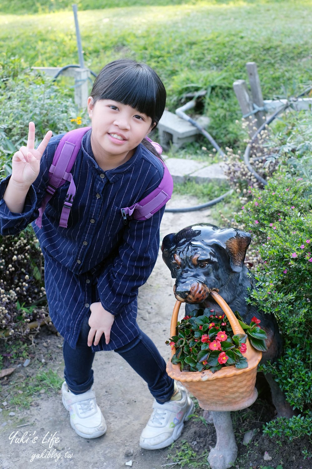 桃園親子景點【春天農場】異國風情浪漫森林~餵動物、落羽松、賞櫻花、烤肉、好吃麵包下午茶 - yuki.tw