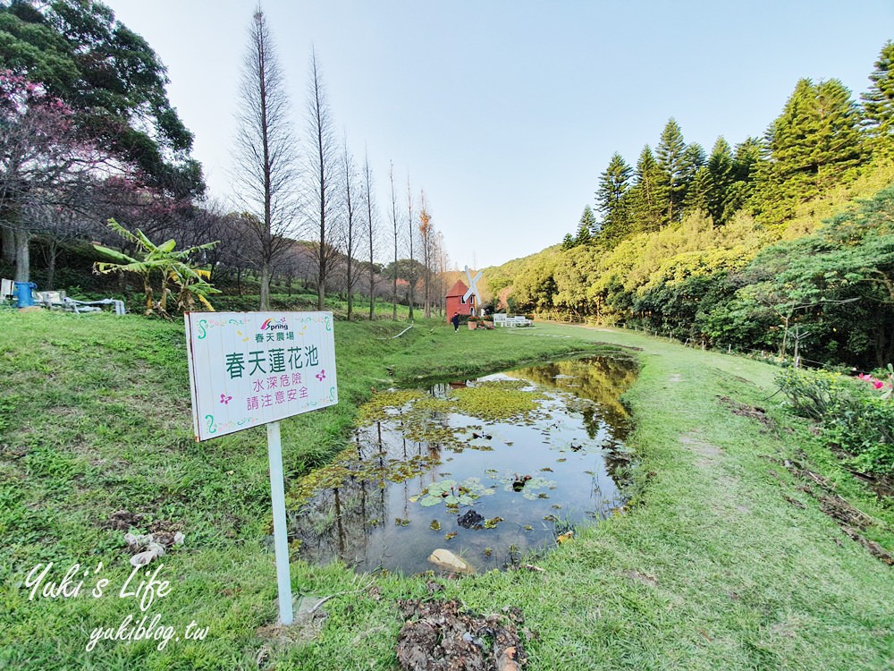 桃園親子景點【春天農場】異國風情浪漫森林~餵動物、落羽松、賞櫻花、烤肉、好吃麵包下午茶 - yuki.tw