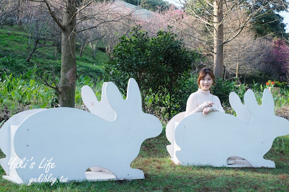 桃園親子景點【春天農場】異國風情浪漫森林~餵動物、落羽松、賞櫻花、烤肉、好吃麵包下午茶 - yuki.tw