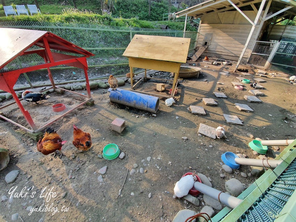 桃園親子景點【春天農場】異國風情浪漫森林~餵動物、落羽松、賞櫻花、烤肉、好吃麵包下午茶 - yuki.tw