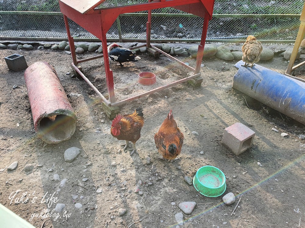 桃園親子景點【春天農場】異國風情浪漫森林~餵動物、落羽松、賞櫻花、烤肉、好吃麵包下午茶 - yuki.tw