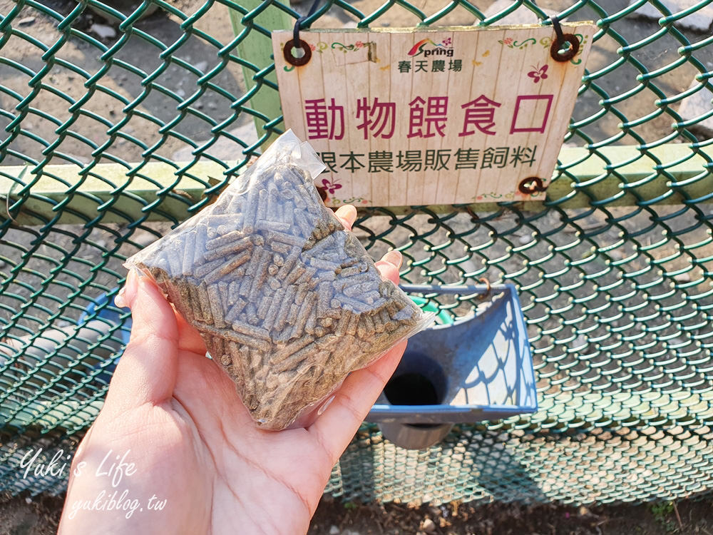 桃園親子景點【春天農場】異國風情浪漫森林~餵動物、落羽松、賞櫻花、烤肉、好吃麵包下午茶 - yuki.tw