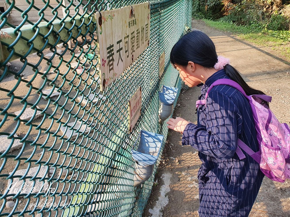 桃園親子景點【春天農場】異國風情浪漫森林~餵動物、落羽松、賞櫻花、烤肉、好吃麵包下午茶 - yuki.tw