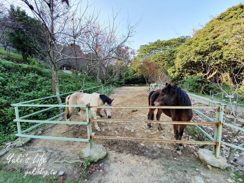 桃園親子景點【春天農場】異國風情浪漫森林~餵動物、落羽松、賞櫻花、烤肉、好吃麵包下午茶 - yuki.tw