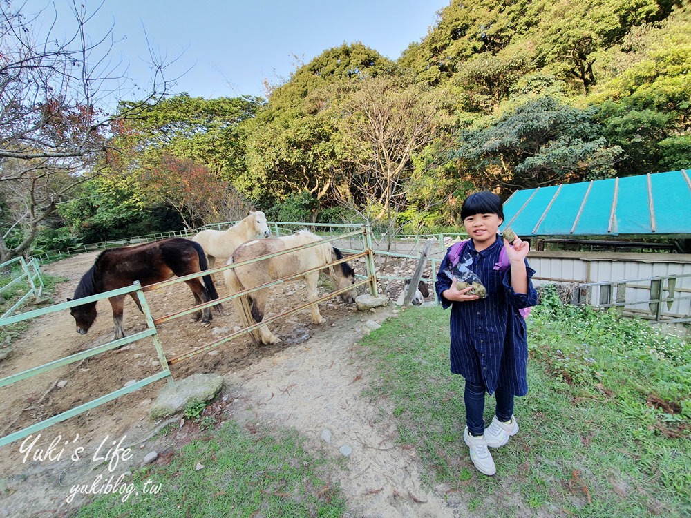 桃園親子景點【春天農場】異國風情浪漫森林~餵動物、落羽松、賞櫻花、烤肉、好吃麵包下午茶 - yuki.tw