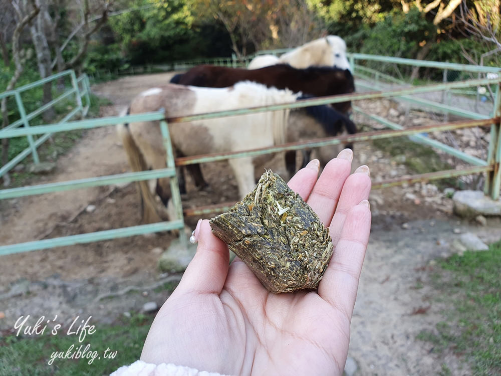 桃園親子景點【春天農場】異國風情浪漫森林~餵動物、落羽松、賞櫻花、烤肉、好吃麵包下午茶 - yuki.tw