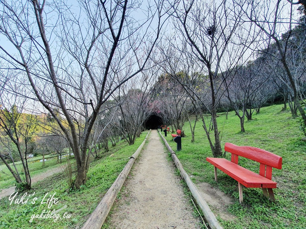 桃園親子景點【春天農場】異國風情浪漫森林~餵動物、落羽松、賞櫻花、烤肉、好吃麵包下午茶 - yuki.tw