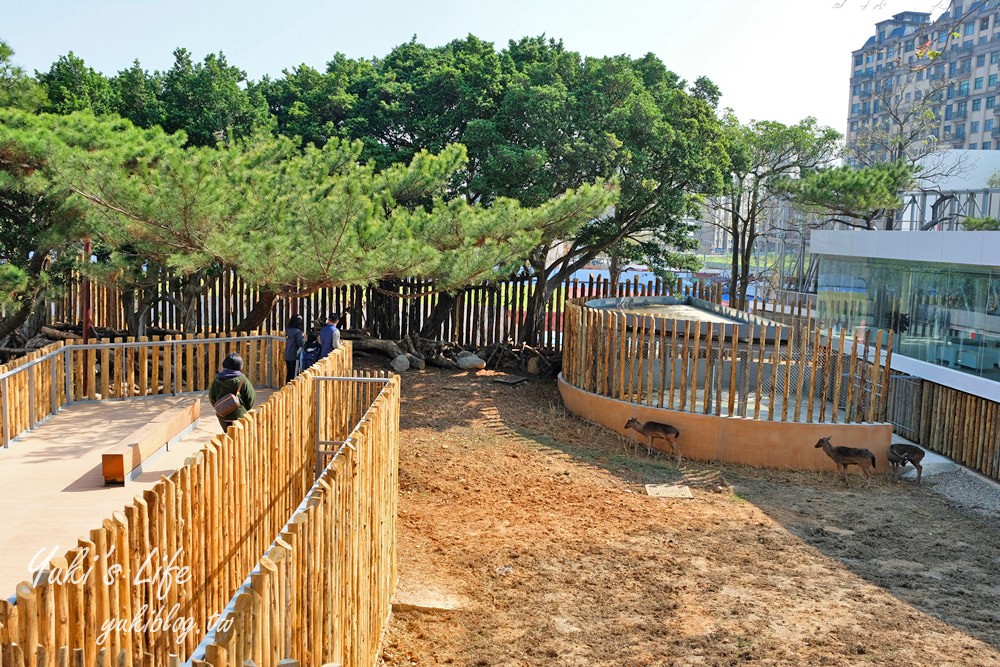 親子景點【新竹市立動物園】沒有籠子的動物園～全新回歸更好逛！(交通、停車場、門票) - yuki.tw